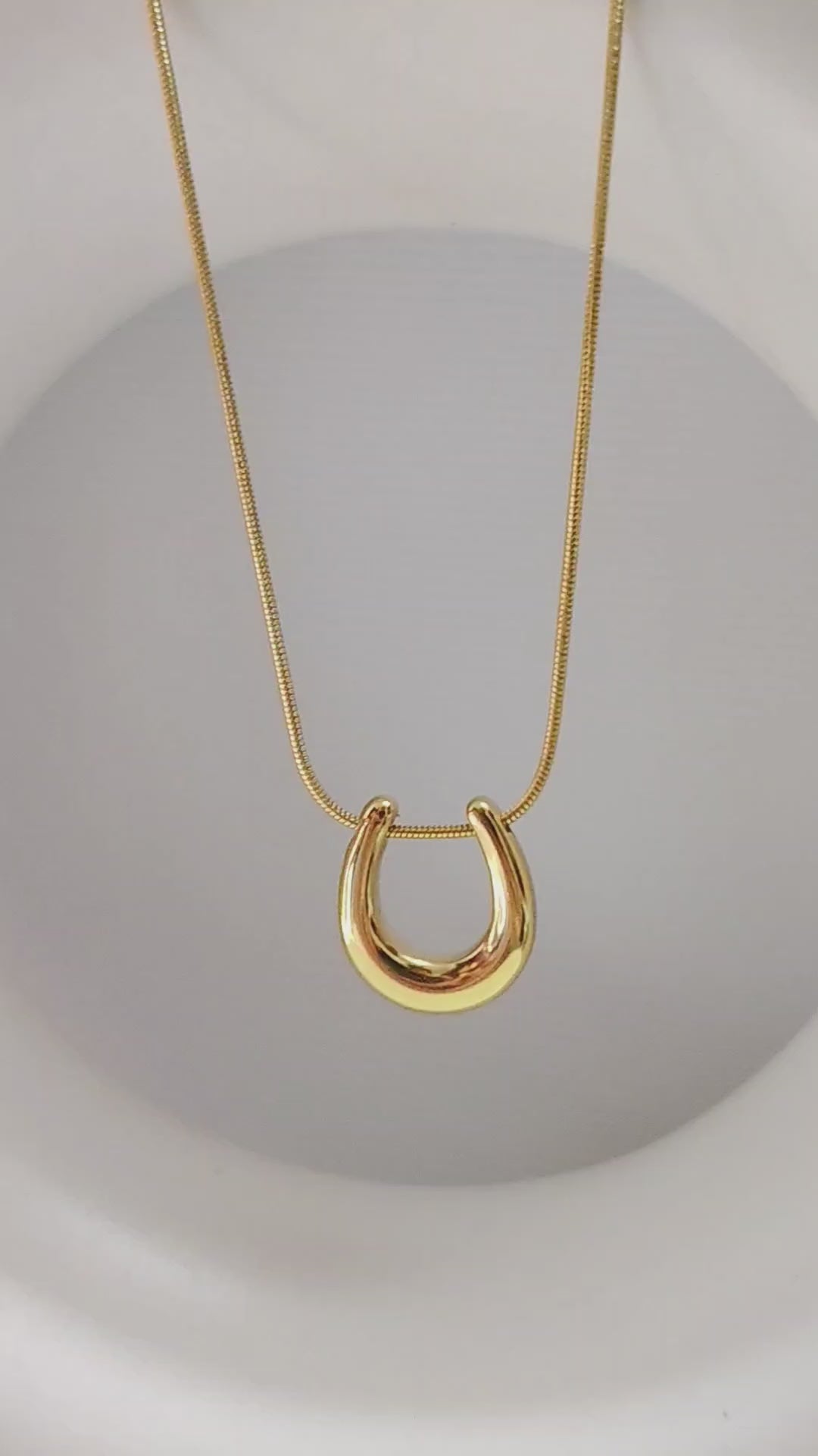 Horseshoe & dainty snack necklace