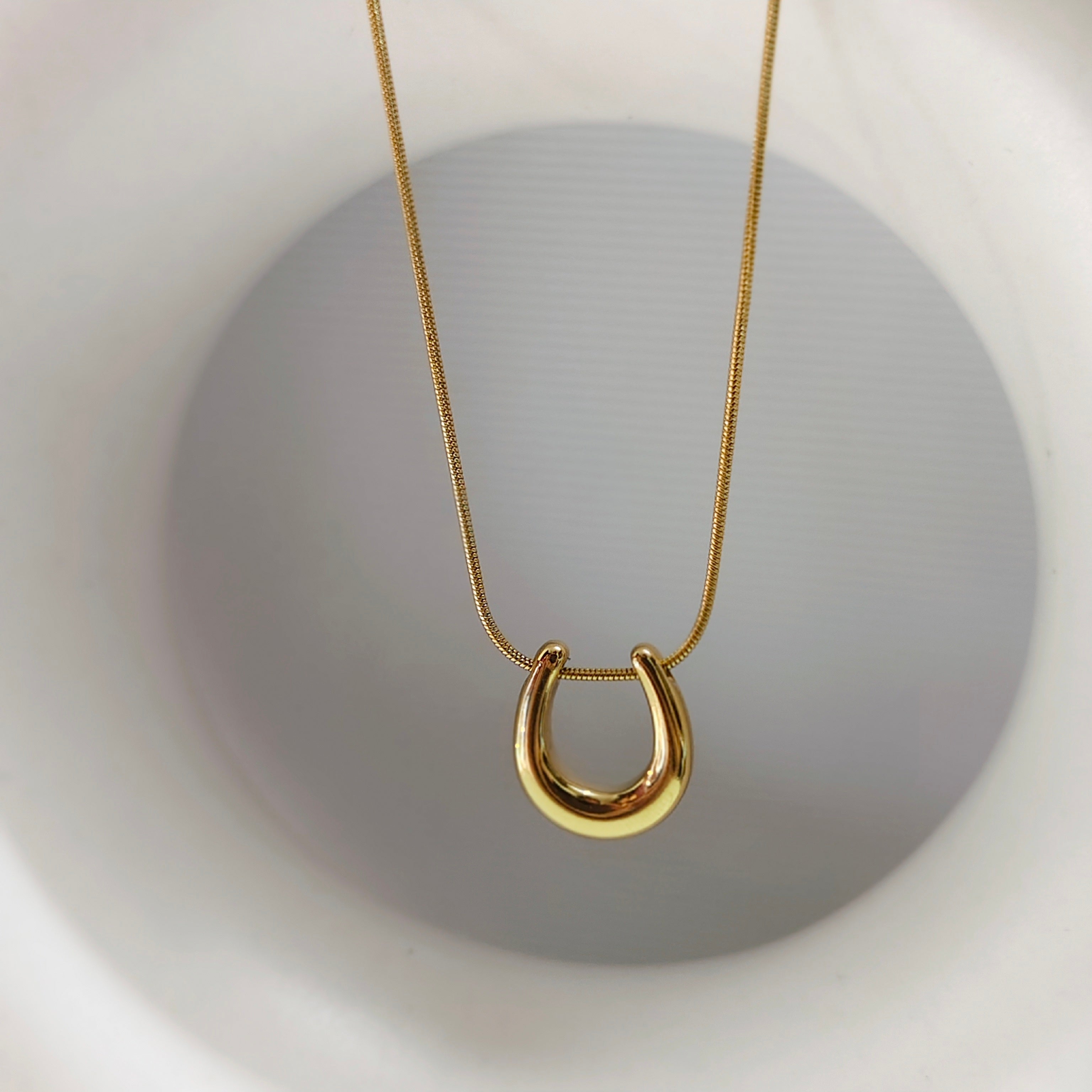 Horseshoe & dainty snack necklace