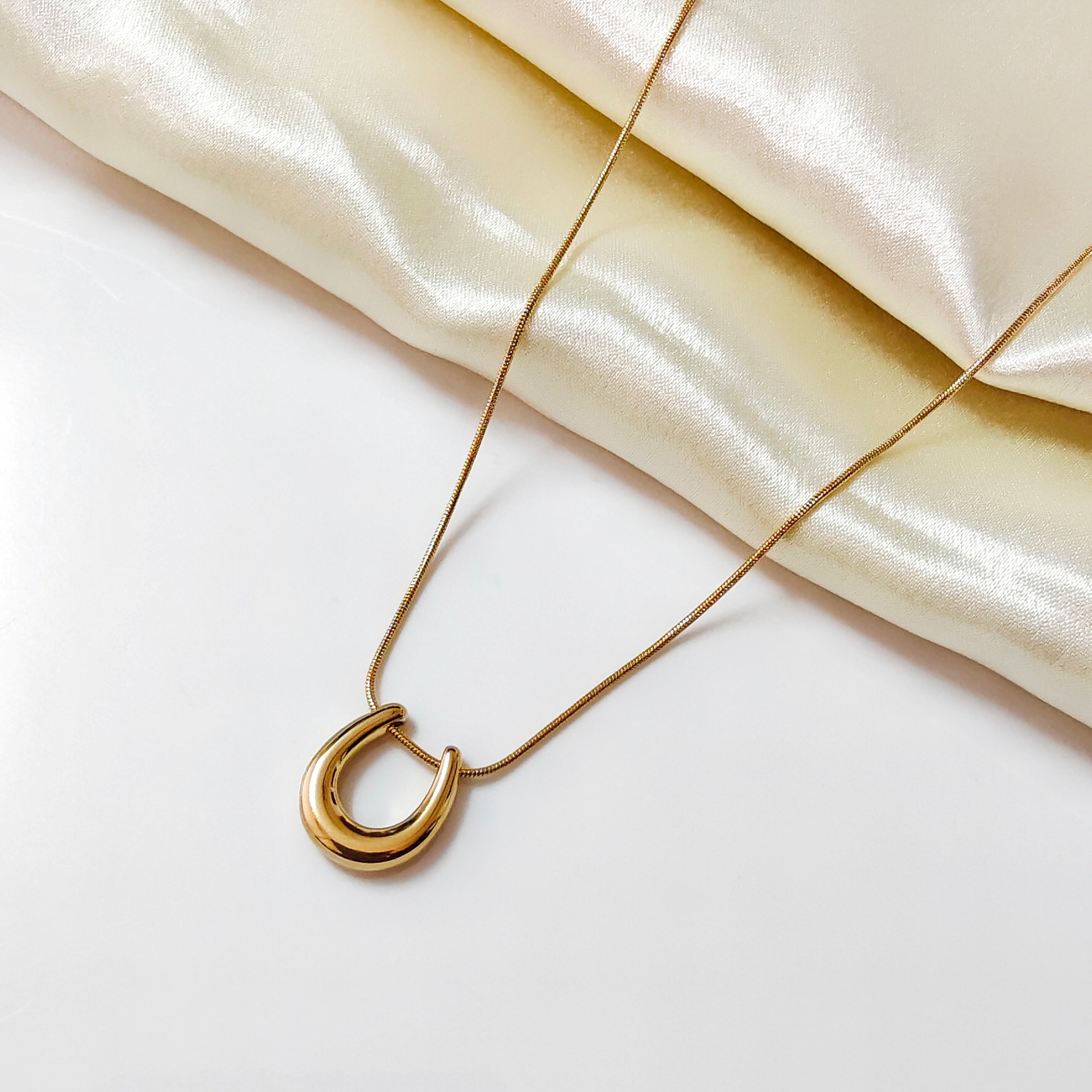 Horseshoe & dainty snack necklace